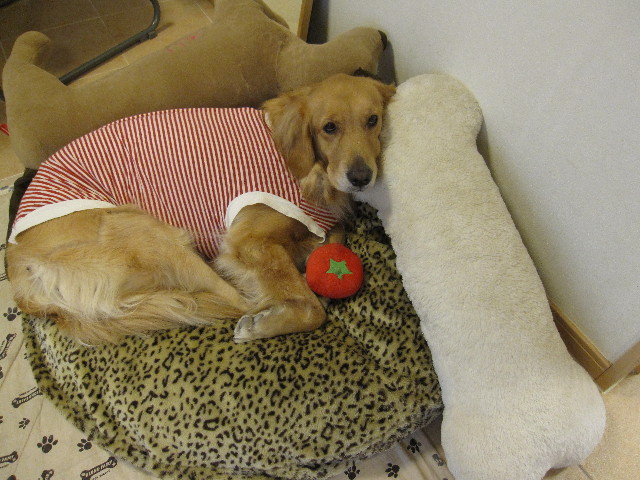 ファイル 1050-2.jpg