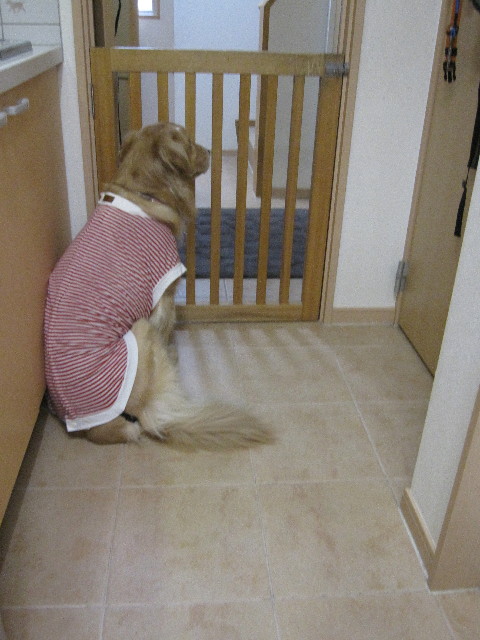 ファイル 1050-4.jpg