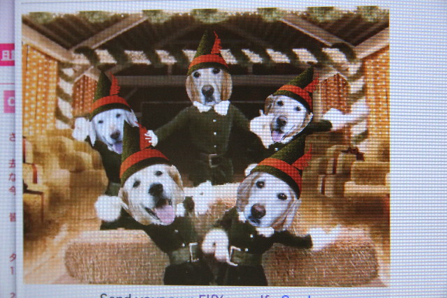 ファイル 1053-2.jpg