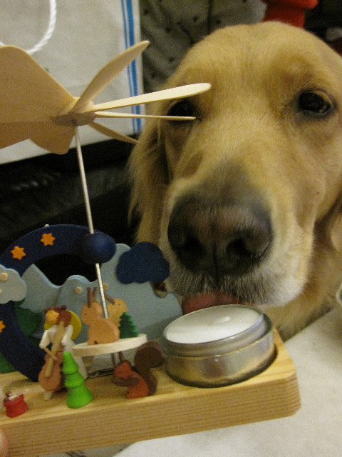 ファイル 1057-4.jpg