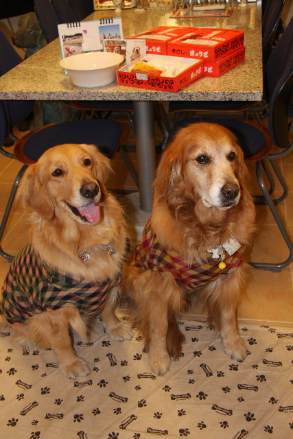 ファイル 1060-2.jpg