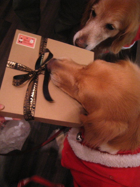 ファイル 1065-4.jpg