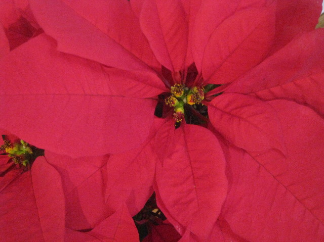 ファイル 1065-5.jpg