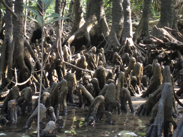 ファイル 1066-4.jpg