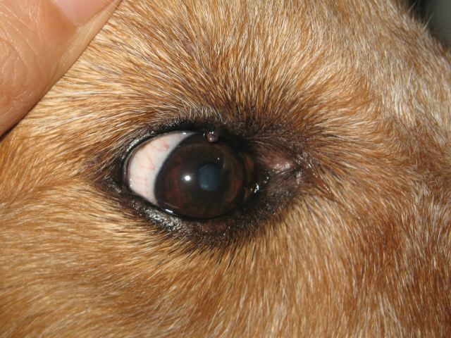 ファイル 107-1.jpg