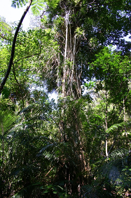 ファイル 1072-3.jpg