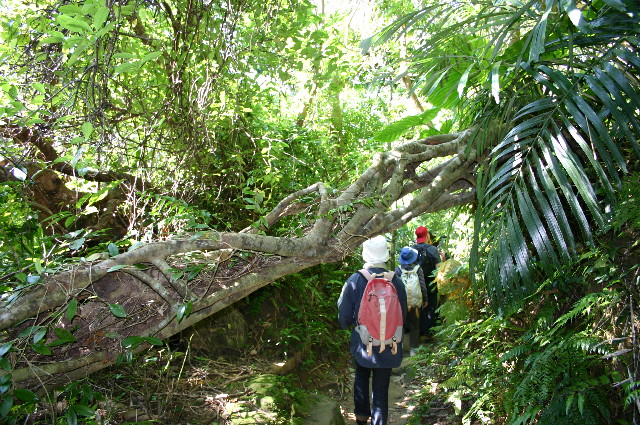 ファイル 1072-4.jpg