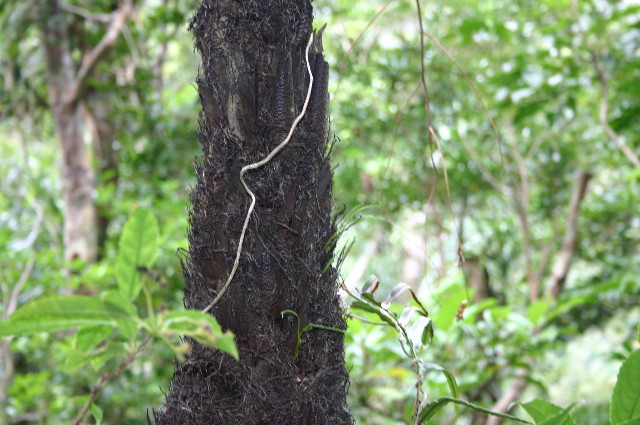 ファイル 1072-5.jpg