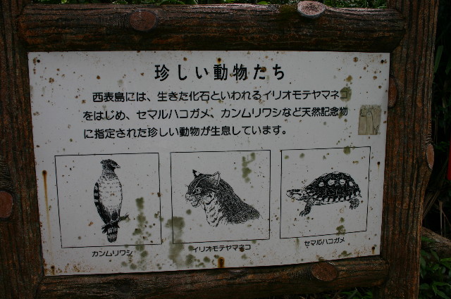 ファイル 1074-3.jpg