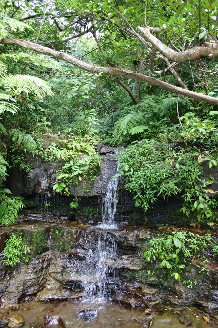 ファイル 1077-1.jpg