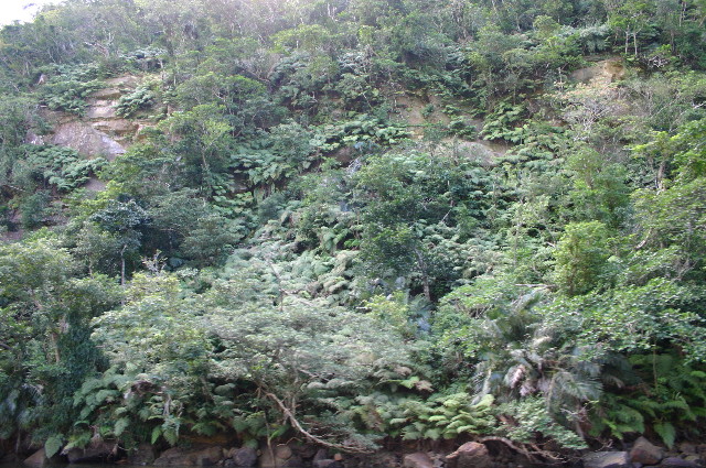 ファイル 1077-5.jpg