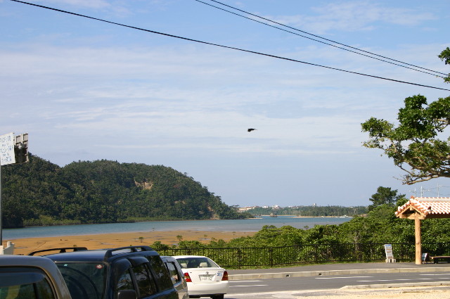 ファイル 1078-1.jpg