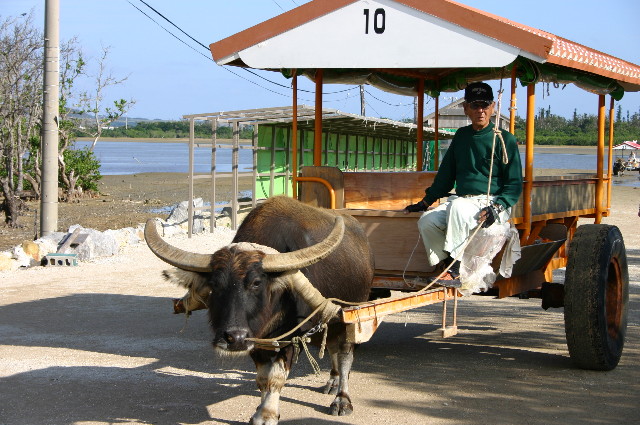 ファイル 1079-1.jpg