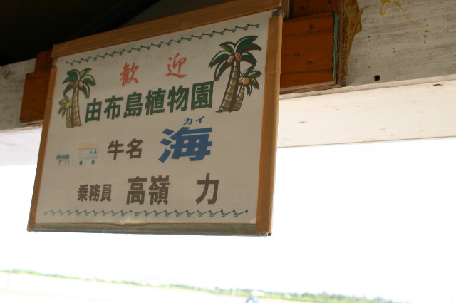 ファイル 1079-3.jpg