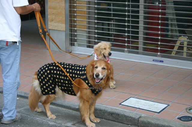 ファイル 108-5.jpg