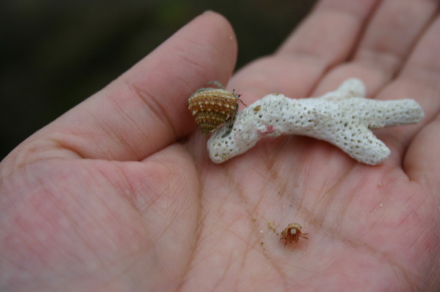 ファイル 1080-3.jpg