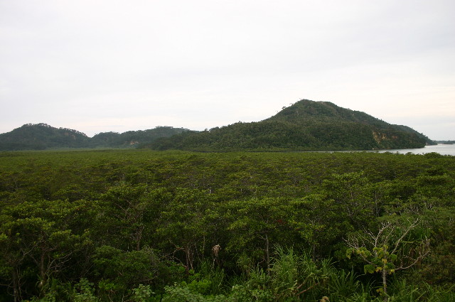 ファイル 1080-4.jpg