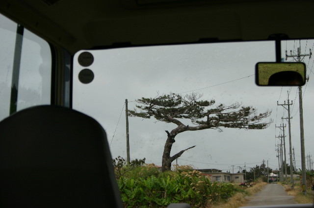 ファイル 1082-2.jpg