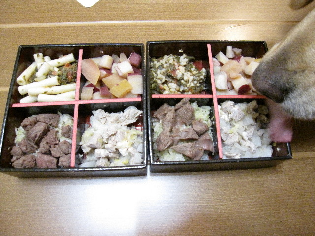 ファイル 1088-4.jpg