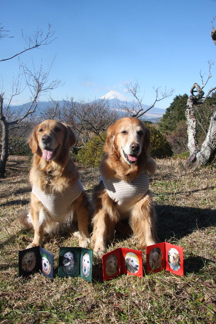 ファイル 1088-5.jpg