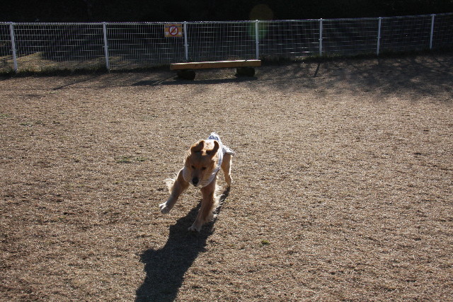 ファイル 1089-2.jpg