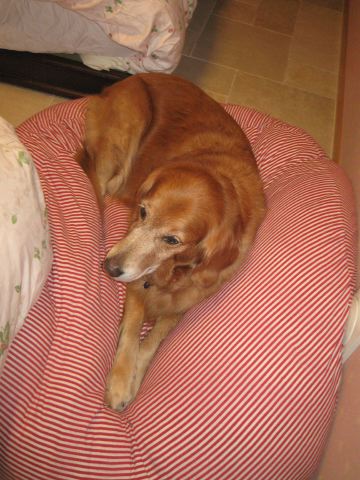 ファイル 109-1.jpg