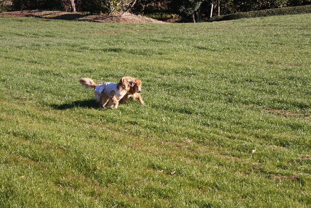 ファイル 1090-4.jpg