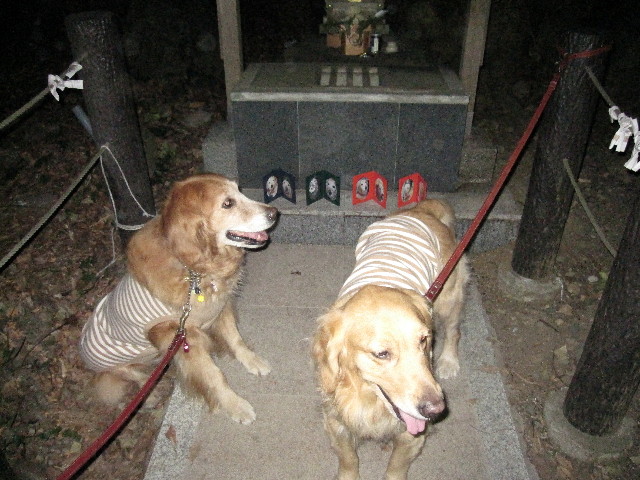 ファイル 1092-3.jpg