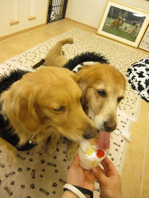 ファイル 1093-3.jpg