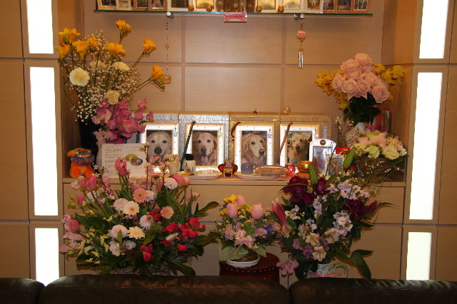 ファイル 1096-3.jpg