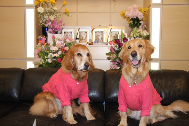 ファイル 1096-5.jpg