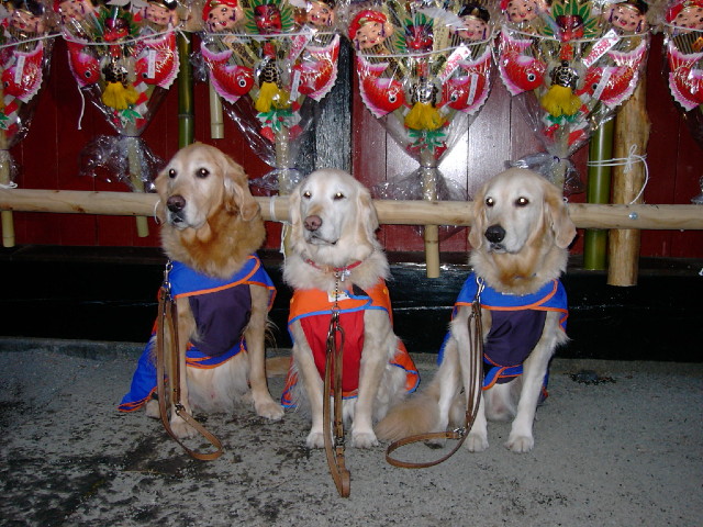 ファイル 1097-4.jpg