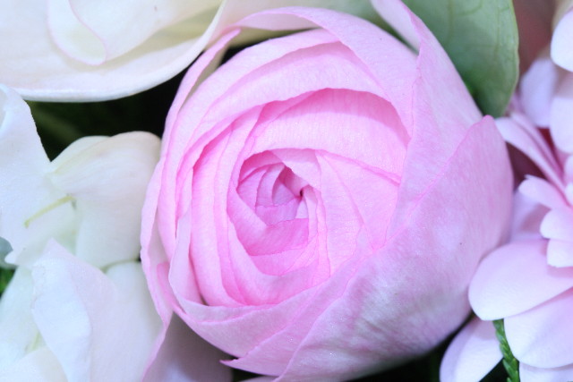 ファイル 1098-1.jpg