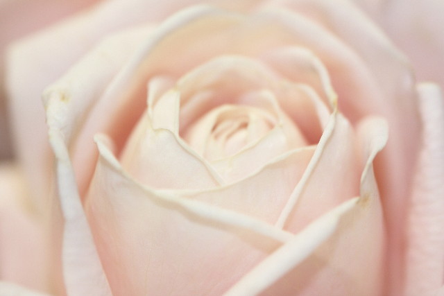 ファイル 1098-4.jpg