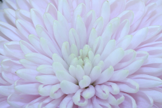 ファイル 1098-5.jpg