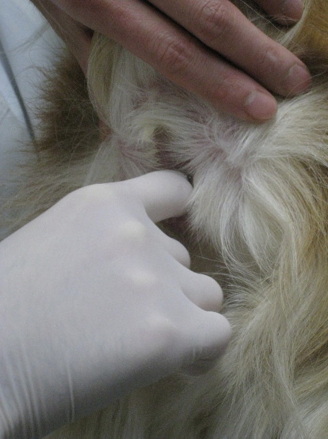 ファイル 1102-3.jpg