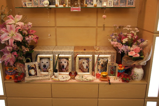 ファイル 1104-3.jpg