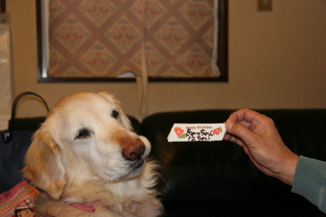 ファイル 1105-5.jpg