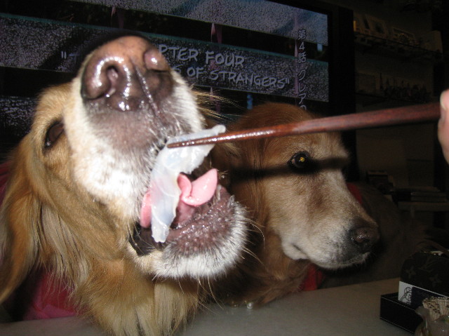 ファイル 1106-5.jpg