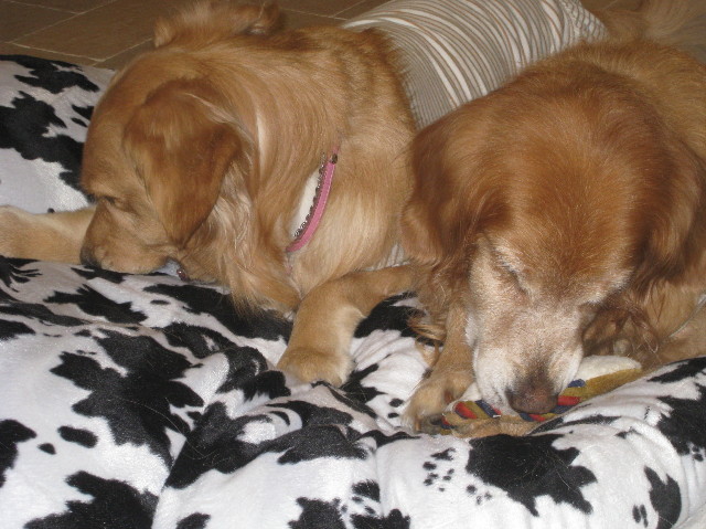 ファイル 1108-5.jpg