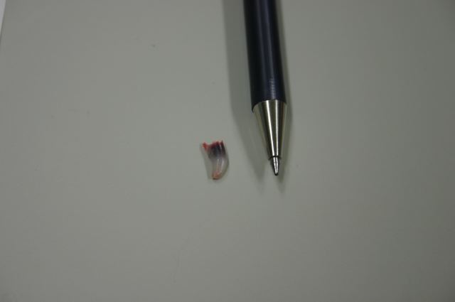 ファイル 111-2.jpg