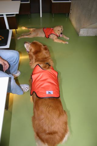 ファイル 111-3.jpg