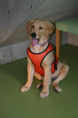 ファイル 111-4.jpg