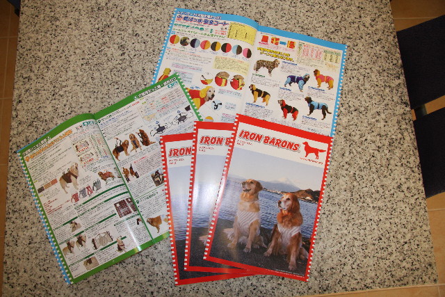 ファイル 1110-1.jpg