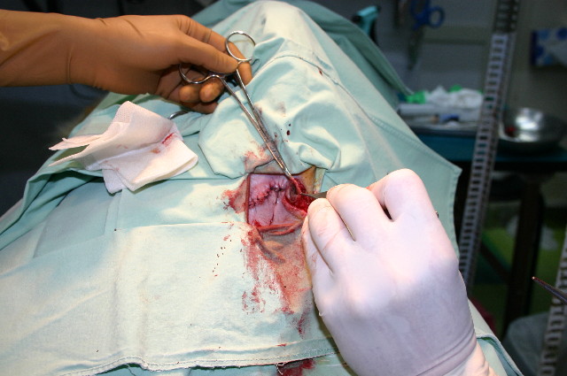 ファイル 1112-2.jpg