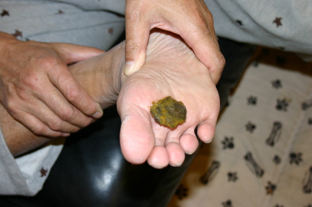 ファイル 1119-1.jpg