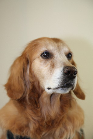 ファイル 1119-4.jpg