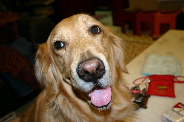 ファイル 1119-5.jpg