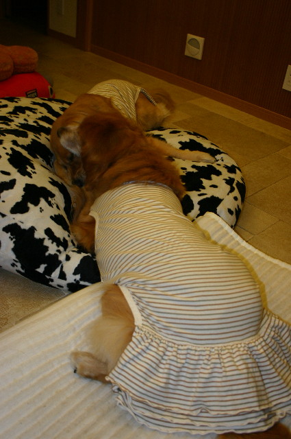 ファイル 1120-5.jpg