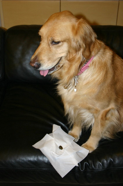 ファイル 1121-4.jpg